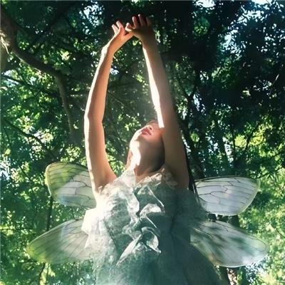 黑色月光之妻不可欺